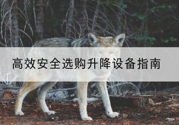 宝山升降货梯厂家推荐-*安全选购升降设备指南