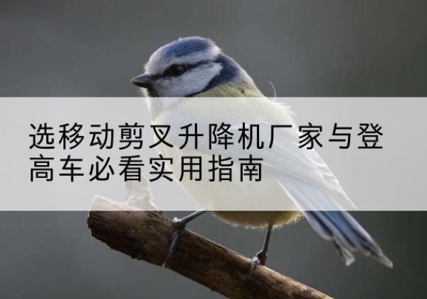 宝山电动升降机厂家-选移动剪叉升降机厂家与登高车必看实用指南