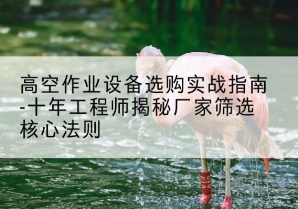 宝山剪叉式升降机厂家-高空作业设备选购实战指南-十年工程师揭秘厂家筛选核心法则